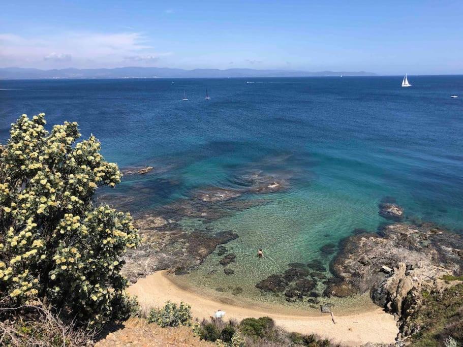 Appartement Proche Toutes Commodites Toulon Buitenkant foto